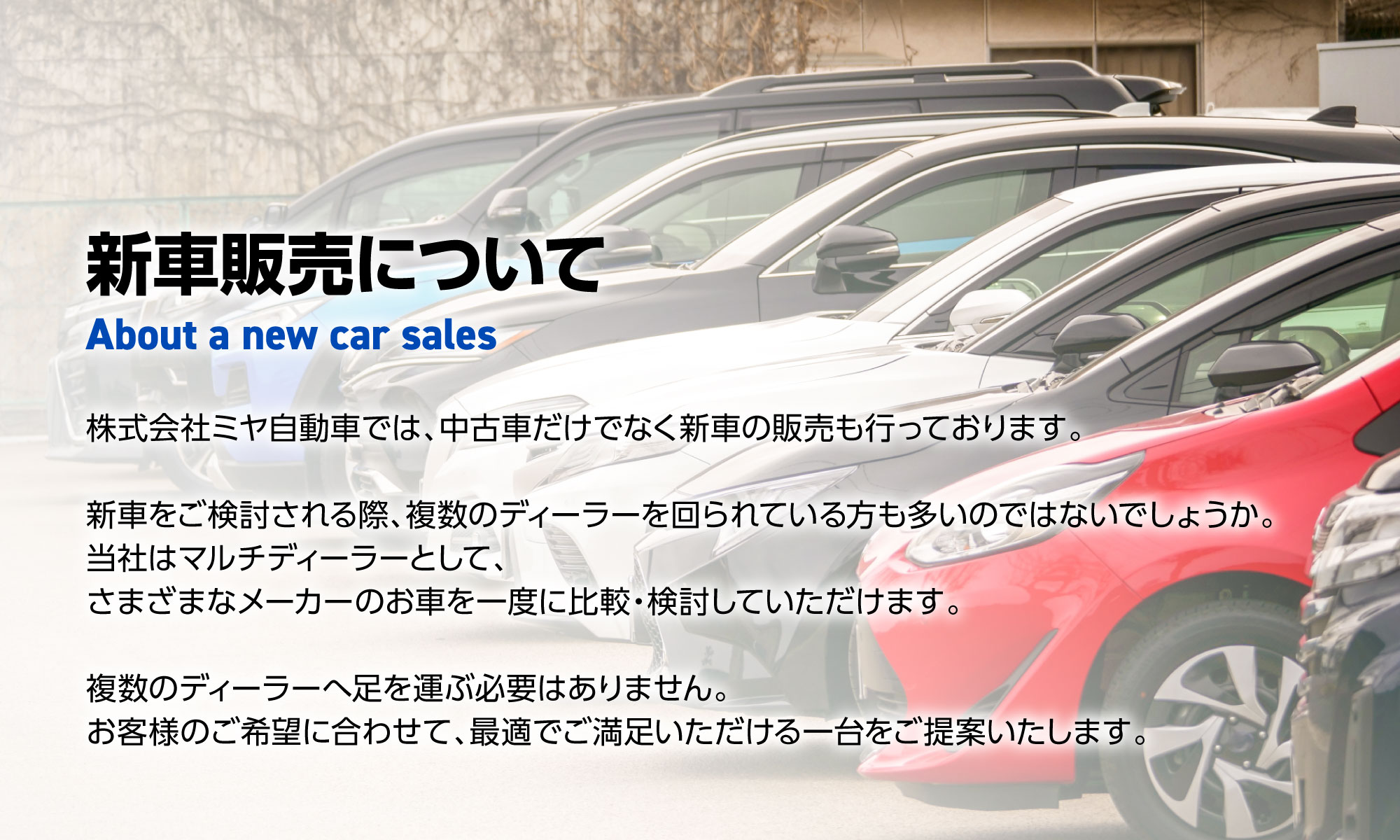 ミヤ自動車の新車販売
